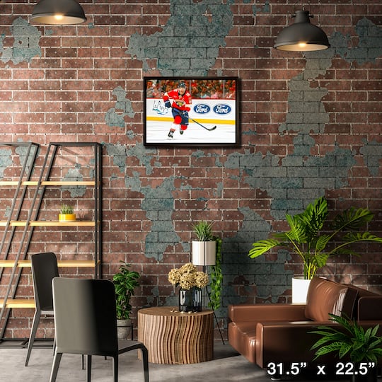 Aleksander Barkov 20" x 29" Framed Canvas Florida Panthers 31.5" x 22.5"